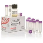 Thermo Fisher Scientific BL21(DE3) Competent Cells