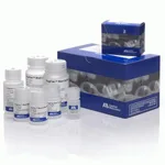 Thermo Fisher Scientific PrepFiler Forensic DNA Extraction Kit, updated