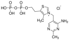 Merck THIAMINE PYROPHOSPHATE, >=95%