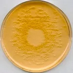 Merck Nutrient Agar No 2