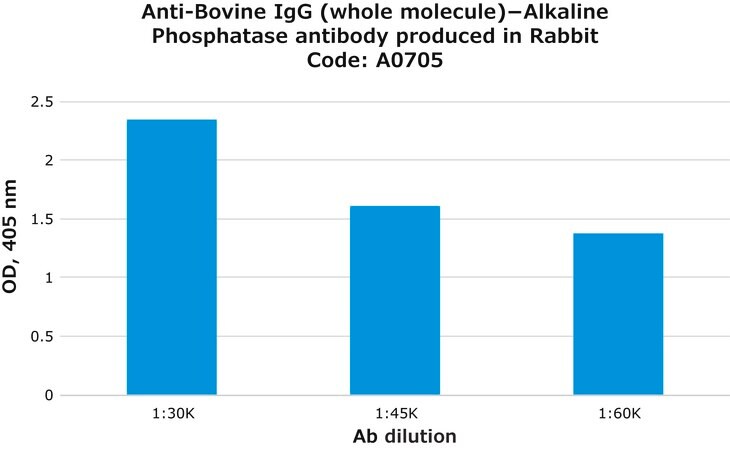 Merck Anti-Bovine IgG (whole molecule)-Alkaline Phosphatase antibody produced in rabbit