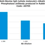 Merck Anti-Bovine IgG (whole molecule)-Alkaline Phosphatase antibody produced in rabbit