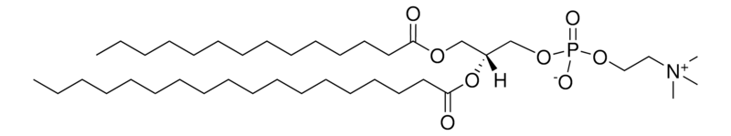 Merck 14:0-18:0 PC