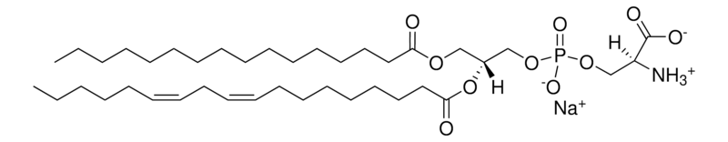 Merck 16:0-18:2 PS