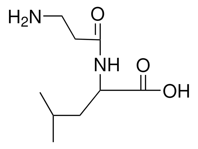 Merck BETA-ALANYL-DL-LEUCINE-