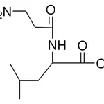 Merck BETA-ALANYL-DL-LEUCINE-