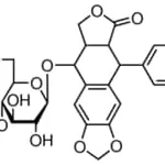 Merck ETOPOSIDE, UNITED STATES PHARMACOPEIA (U