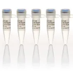 Thermo Fisher Scientific Phusion Flash High-Fidelity PCR Master Mix, 500 reactions