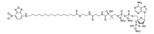 Merck 16-NBD-16:0 COENZYME A