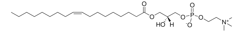 Merck 18:1 Lyso PC
