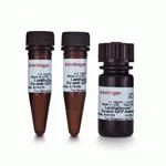 Thermo Fisher Scientific LanthaScreen Eu-anti-GFP Antibody, 2.5 ug