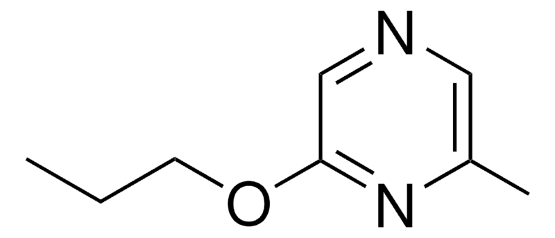 Merck 2-METHYL-6-PROPOXY-PYRAZINE - 1 MG