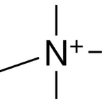 Merck (CYCLOPROPYLMETHYL)-TRIMETHYLAM-