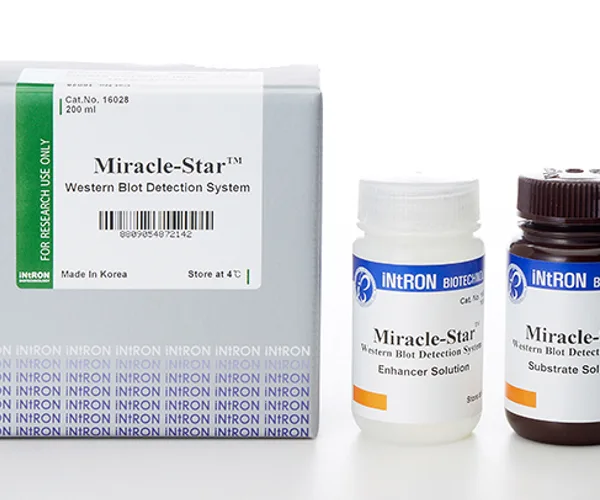 Intron Miracle-Star™ Western Blot Detection System