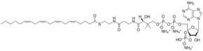 Merck 20:4 COENZYME A