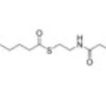 Merck 20:4 COENZYME A