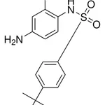 Merck 4'-AMINO-4-(TERT-BUTYL)-2'-HYDR