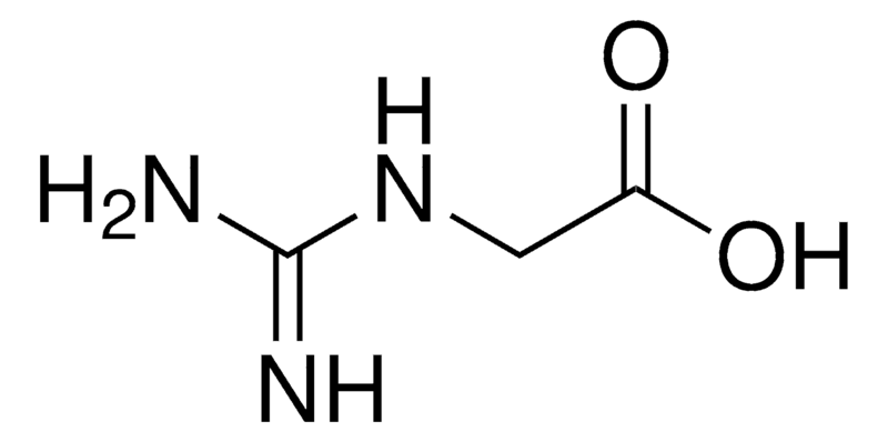 Merck Guanidineacetic acid