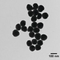 Merck SILVER, DISPERSION, NANOPARTICLES, 100 &