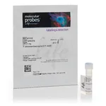 Thermo Fisher Scientific 7-AAD (7-Aminoactinomycin D)
