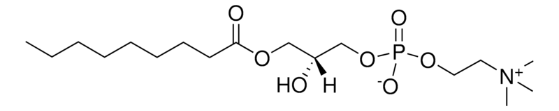 Merck 09:0 Lyso PC