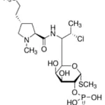 Merck CLINDAMYCIN PHOSPHATE