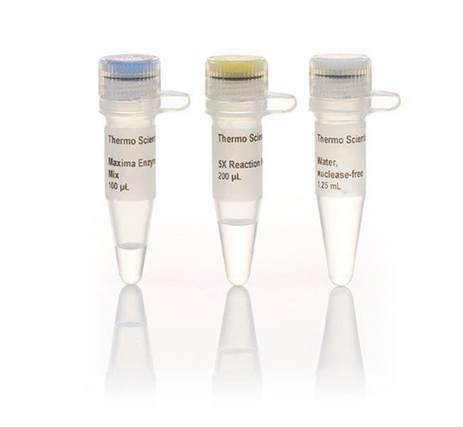 Thermo Fisher Scientific Maxima First Strand cDNA Synthesis Kit for RT-qPCR, Each