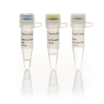 Thermo Fisher Scientific Maxima First Strand cDNA Synthesis Kit for RT-qPCR, Each