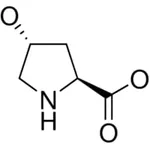 Merck TRANS-4-HYDROXY-L-PROLINE >= 98.5% BIOR&