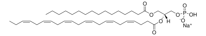 Merck 16:0-22:6 PA