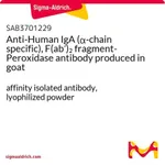 Merck Anti-Human IgA (alpha-chain specific), F(ab')2 fragment-Peroxidase antibody produced in goat