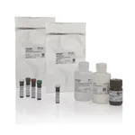 Thermo Fisher Scientific eBioscience Essential Human Treg Phenotyping Kit