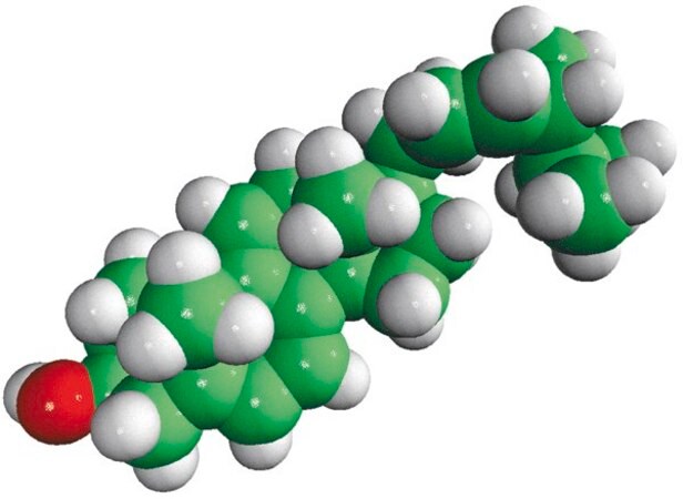 Merck dehydroergosterol (DHE)