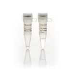 Thermo Fisher Scientific Exonuclease III (200 U/μL)