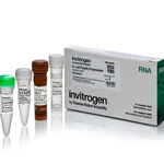 Thermo Fisher Scientific Poly(A) Polymerase (cloned) 2 U/μL