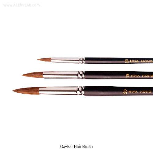Ox-Ear Hair Brush
