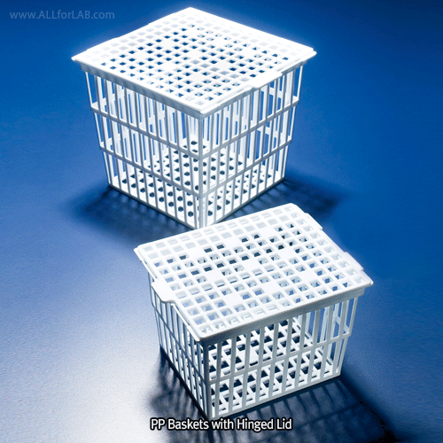 Scilabware PP Basket with Hinged Lid