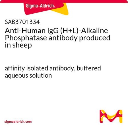 Merck Anti-Human IgG (H+L)-Alkaline Phosphatase antibody produced in sheep