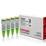 Thermo Fisher Scientific E-Gel Sample Loading Buffer, 1X