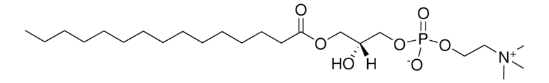 Merck 15:0 Lyso PC