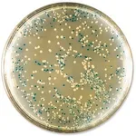 Merck BLUE-WHITE SELECT(TM) SCREENING REAGENT&