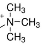 Merck CHOLINE BICARBONATE APPROX. 80% AQUEOUS&