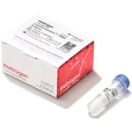 Thermo Fisher Scientific Lipofectamine 2000 Transfection Reagent, 1.5 mL