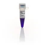 Thermo Fisher Scientific RNA Gel Loading Dye (2X)