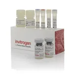 Thermo Fisher Scientific Human Tau Total ProQuantum Immunoassay Kit