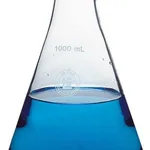 Thermo Fisher Scientific Labglass Filtering Flask, capacity, 1000mL, 135mm OD x 225mm H