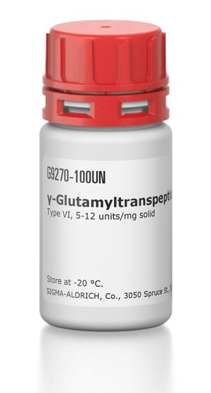Merck GAMMA-GLUTAMYLTRANSPEPTIDASE TYPE VI