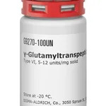 Merck GAMMA-GLUTAMYLTRANSPEPTIDASE TYPE VI