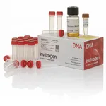 Thermo Fisher Scientific One Shot INV110 Chemically Competent E. coli