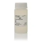 Thermo Fisher Scientific ProcartaPlex Platinum Assay Buffer for Serum Samples